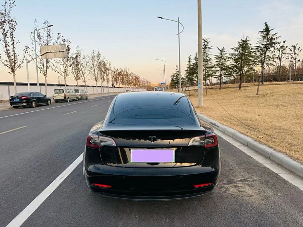 特斯拉 Model 3  2020款 改款 標(biāo)準(zhǔn)續(xù)航后驅(qū)升級版圖片