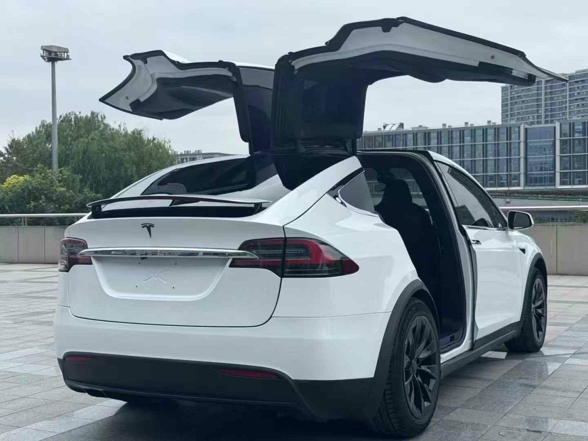 2019年1月特斯拉 Model X  2019款 Performance 高性能版