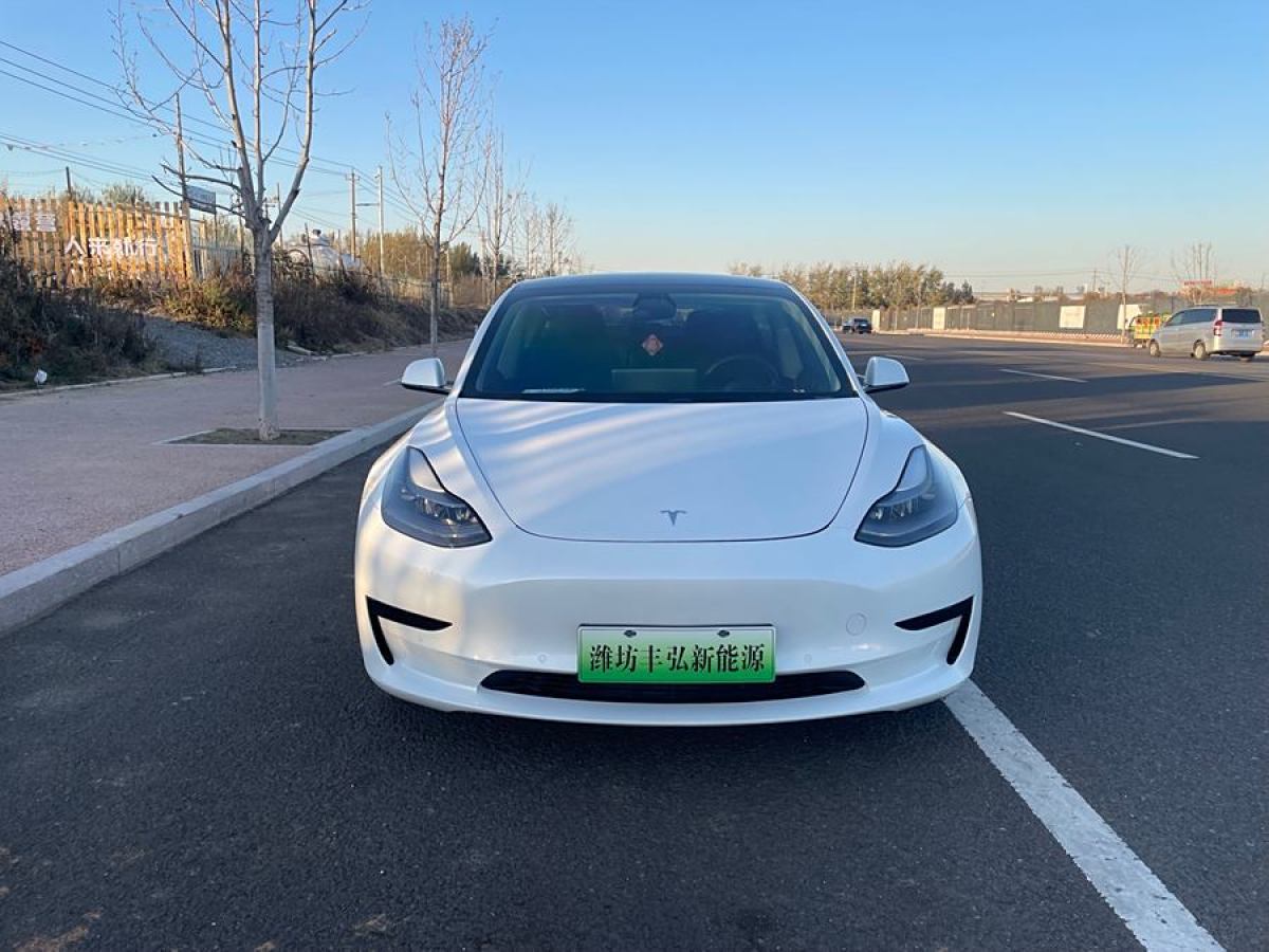 特斯拉 Model 3  2021款 改款 標(biāo)準(zhǔn)續(xù)航后驅(qū)升級(jí)版圖片