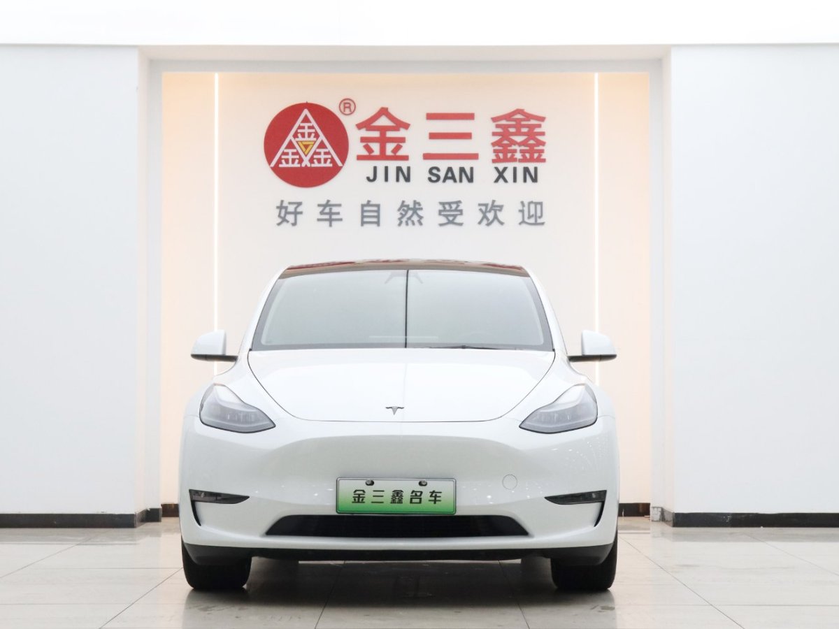 特斯拉 Model Y 2021款 Model Y 標(biāo)準(zhǔn)續(xù)航后驅(qū)版圖片