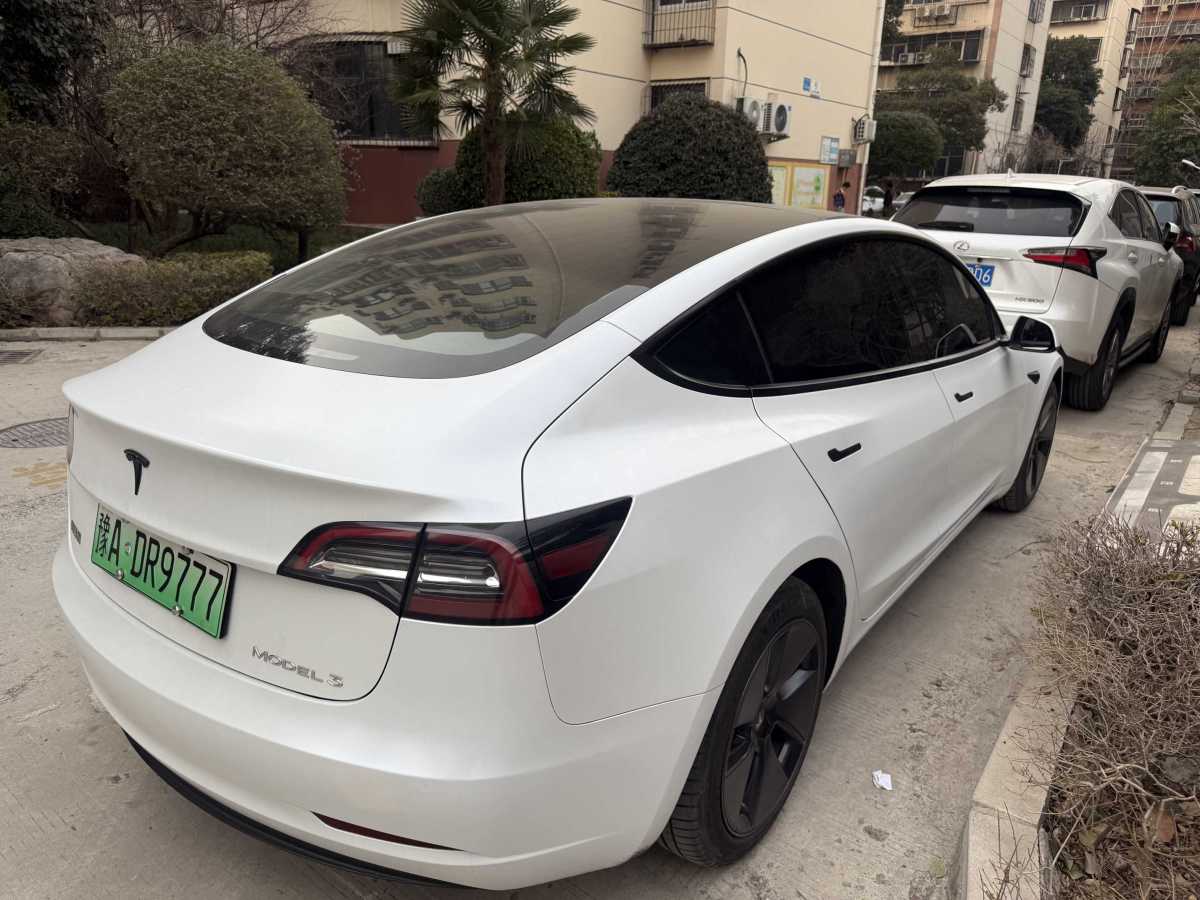 特斯拉 Model 3  2021款 標(biāo)準(zhǔn)續(xù)航后驅(qū)升級(jí)版 3D6圖片