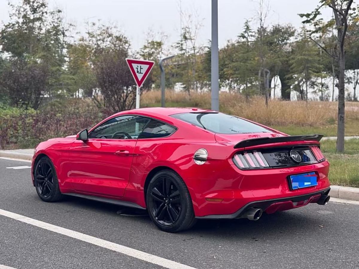 福特 Mustang  2015款 2.3T 性能版圖片