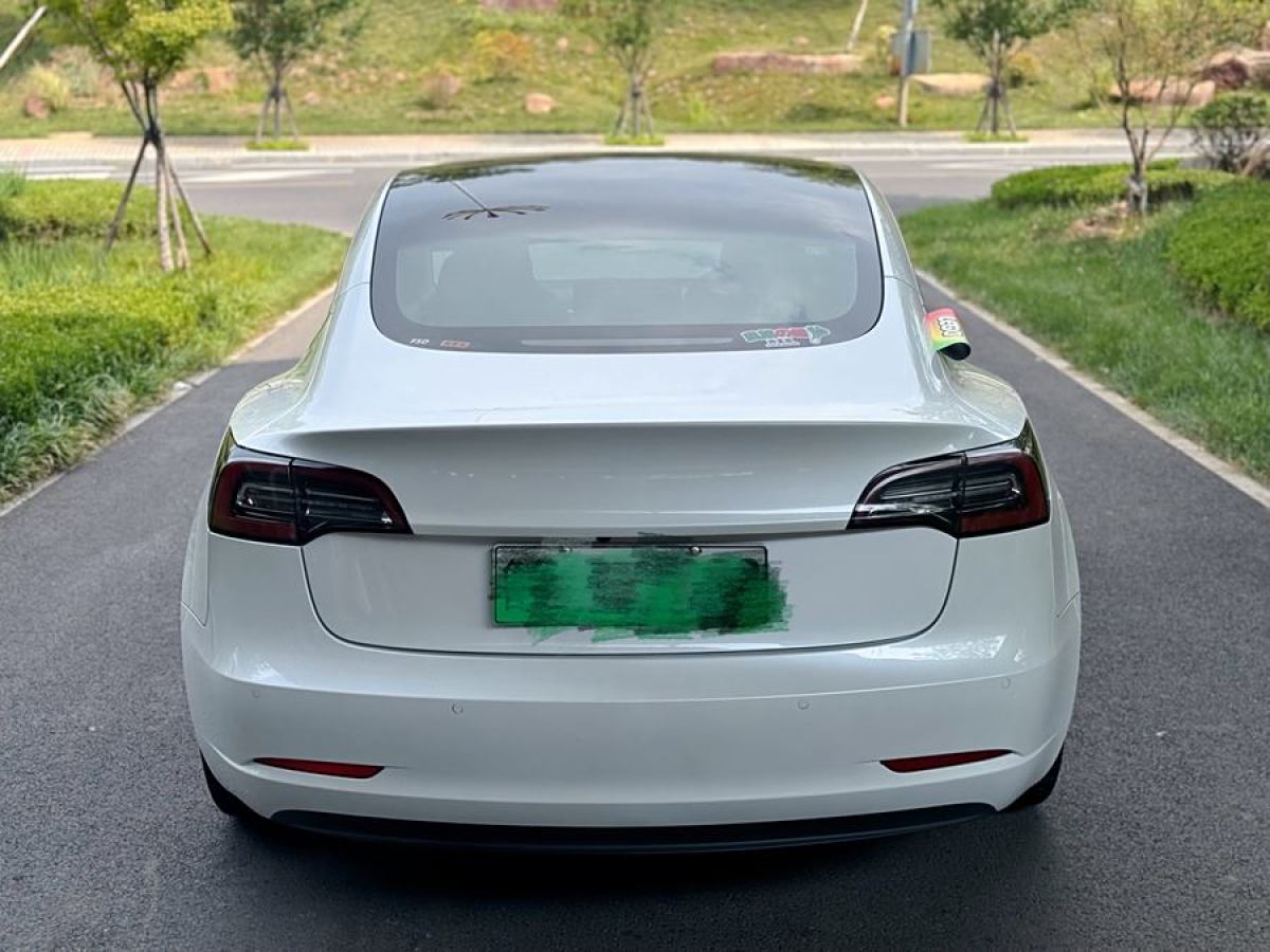 特斯拉 Model 3  2019款 长续航后驱版图片