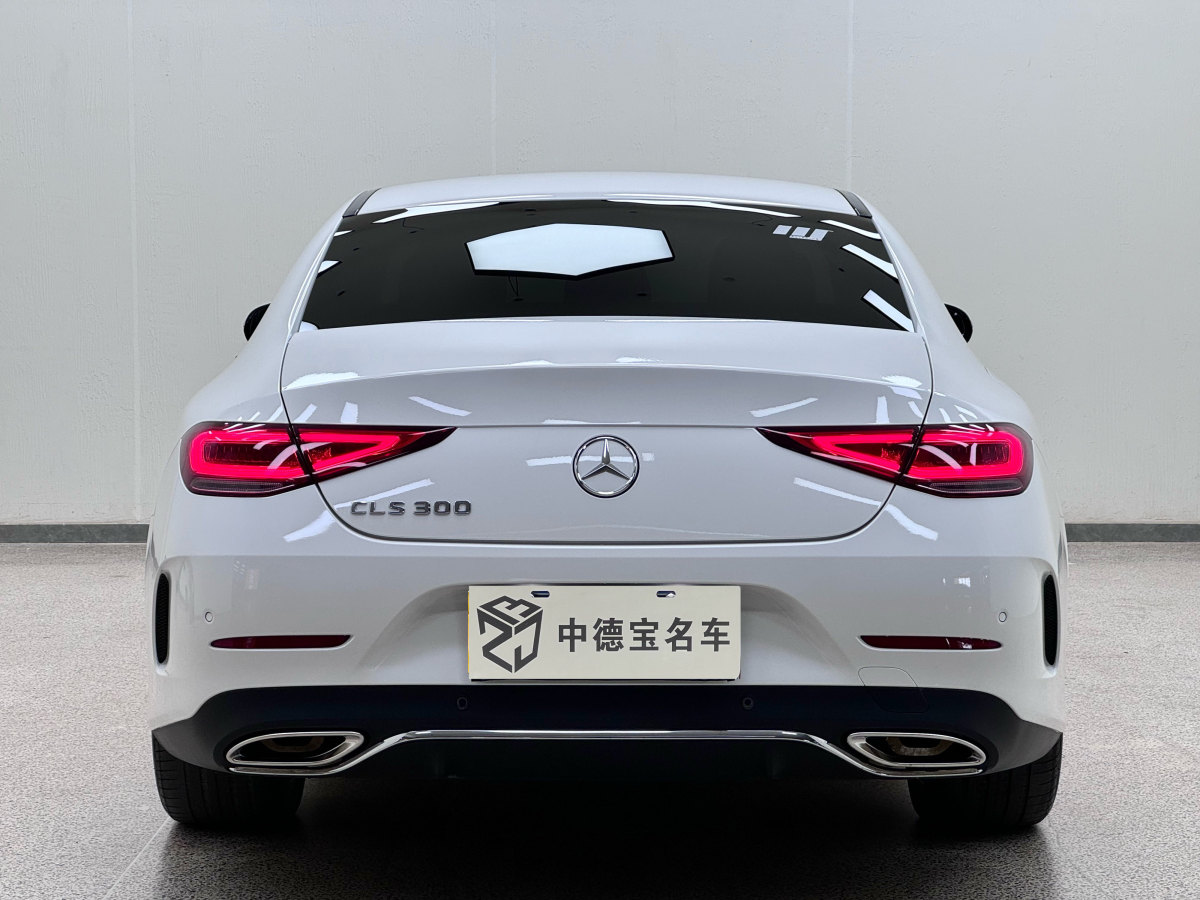 奔馳 奔馳CLS級  2023款 改款 CLS 300 豪華型圖片