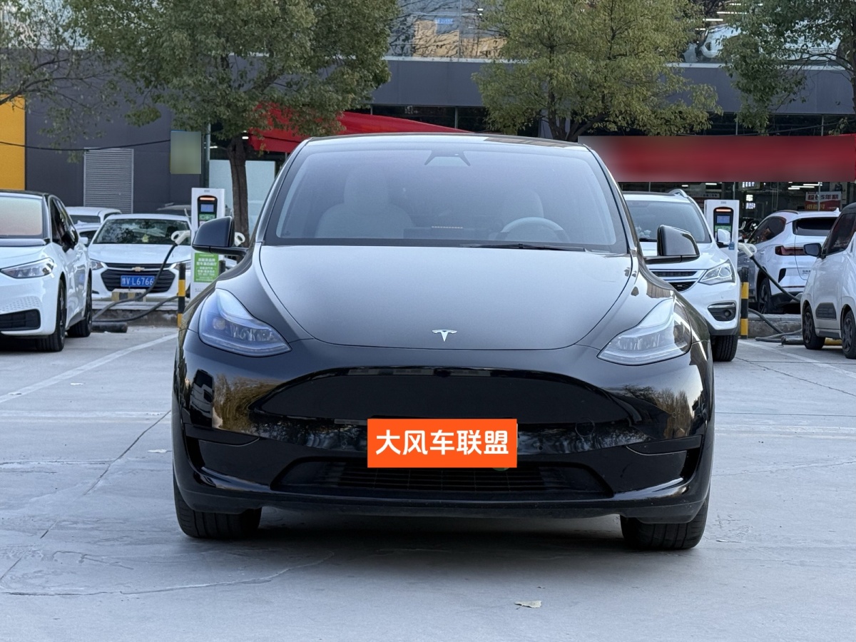 特斯拉 Model 3  2020款 改款 長續(xù)航后輪驅(qū)動(dòng)版圖片