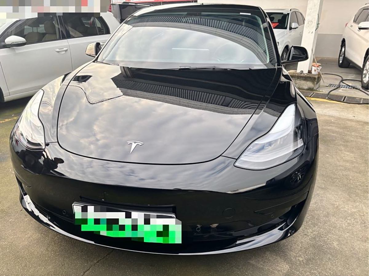 特斯拉 Model 3  2021款 標(biāo)準(zhǔn)續(xù)航后驅(qū)升級(jí)版 3D6圖片