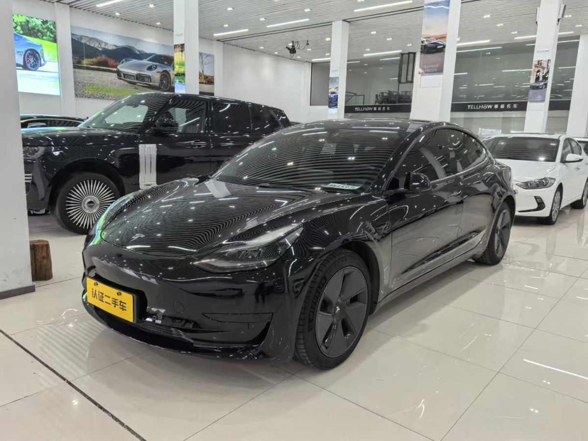 特斯拉 Model Y  2021款 標(biāo)準(zhǔn)續(xù)航后驅(qū)版圖片