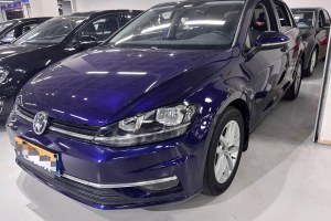 高爾夫 大眾 1.6L 自動(dòng)舒適型