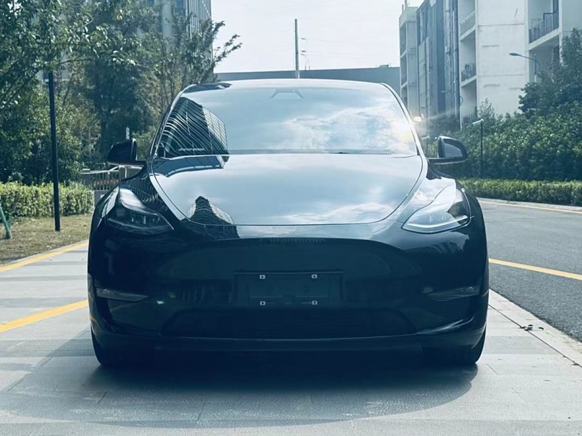 特斯拉 Model 3  2022款 Performance高性能全輪驅(qū)動(dòng)版圖片