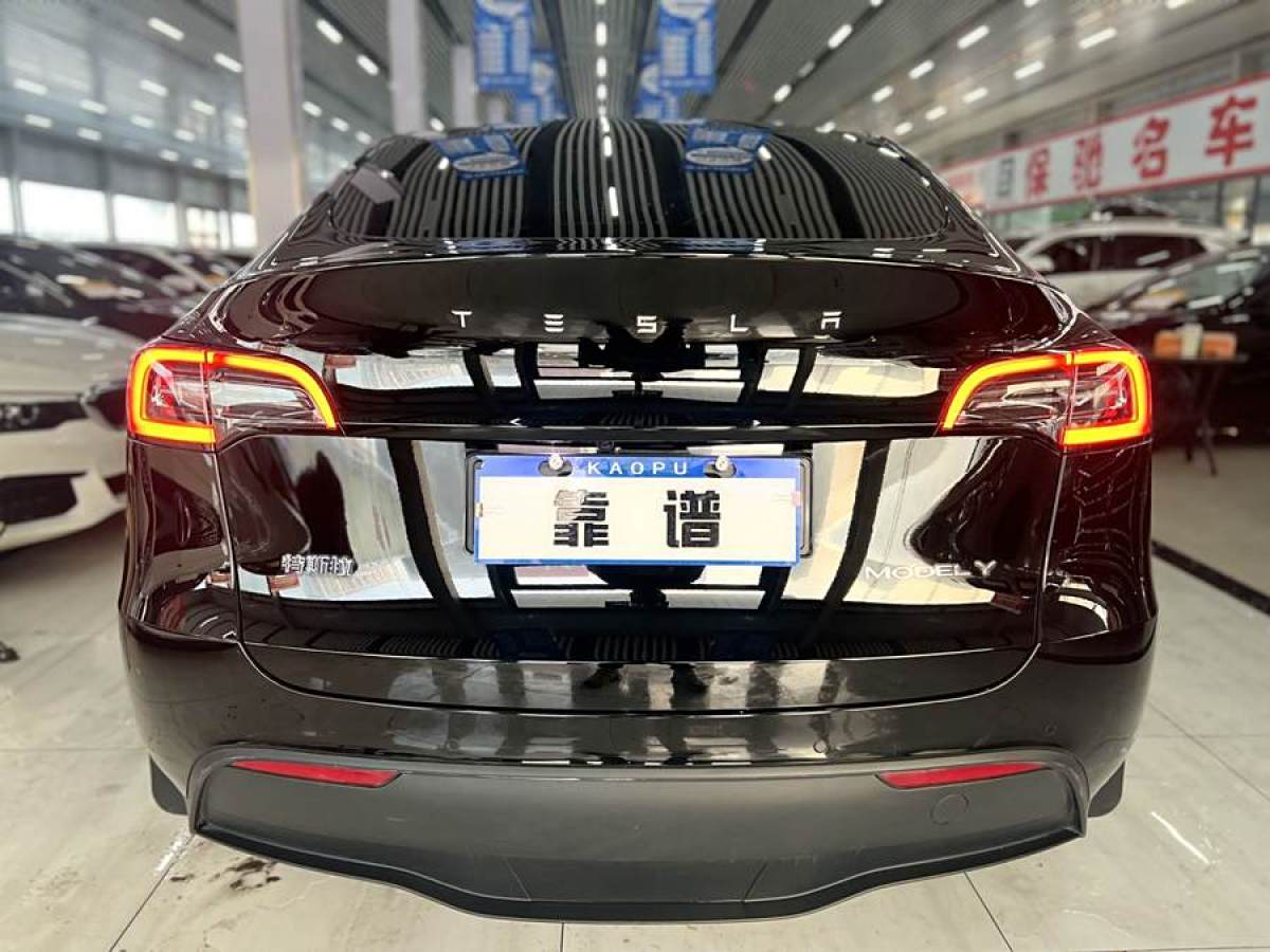 特斯拉 Model 3  2020款 改款 長續(xù)航后輪驅(qū)動版圖片