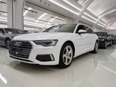 2019年4月 奥迪 奥迪A6L 45 TFSI quattro 臻选致雅型图片