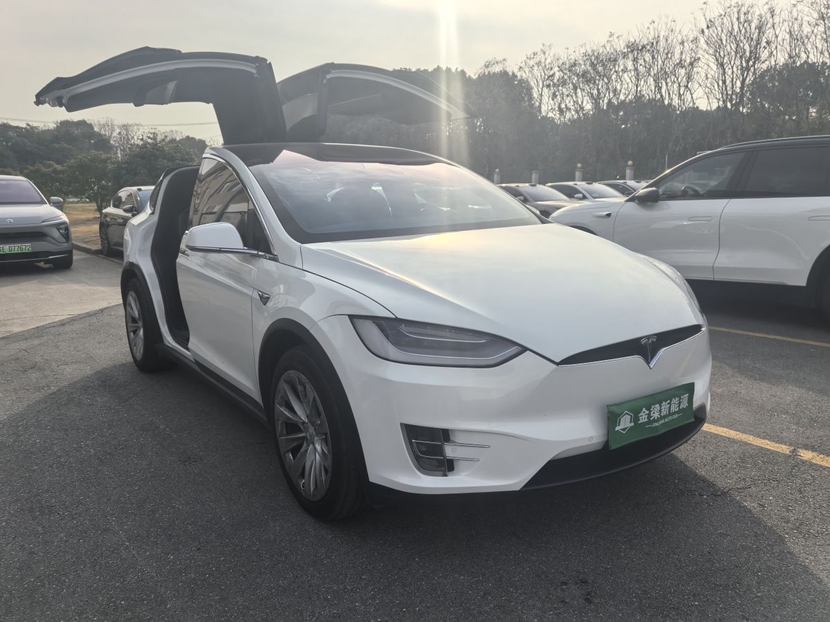 特斯拉 Model X  2019款 長續(xù)航版圖片