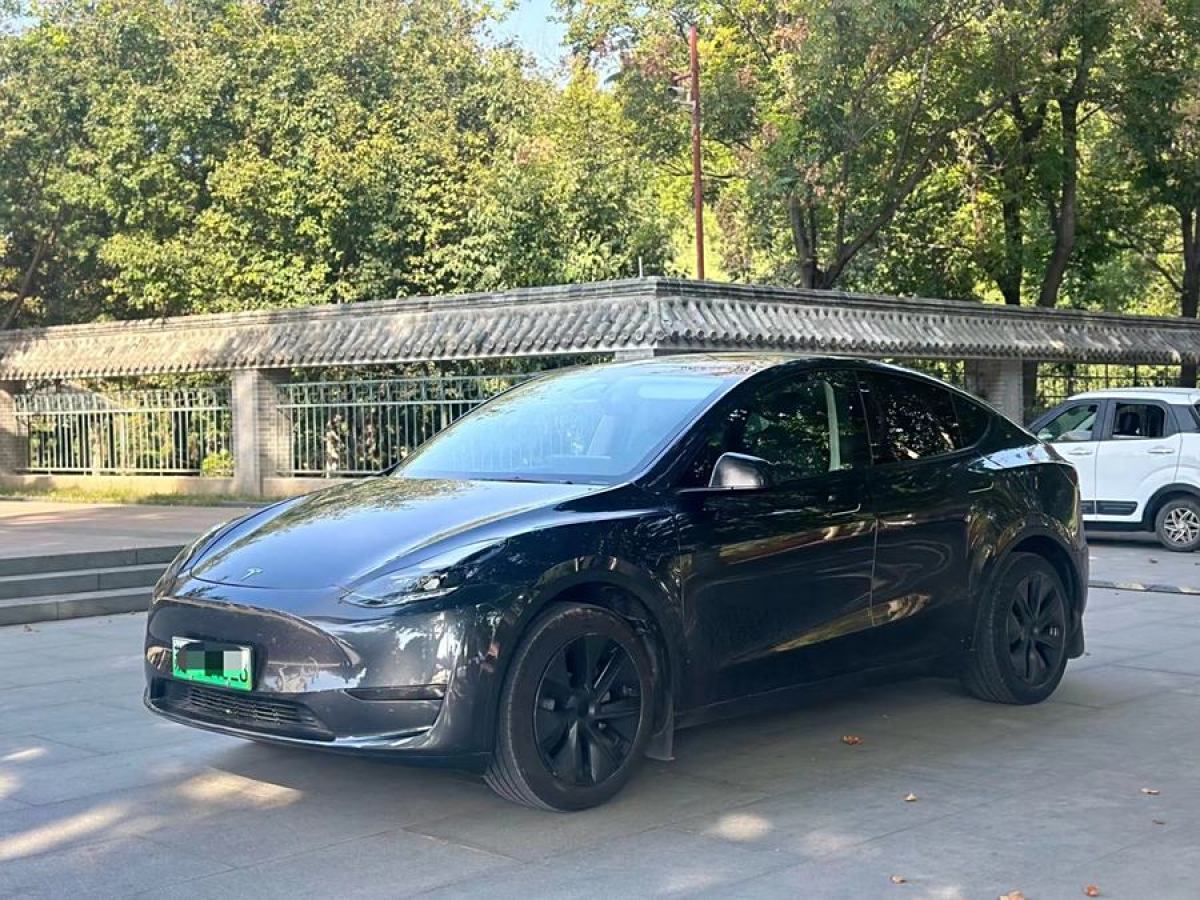 特斯拉 Model 3  2020款 改款 長續(xù)航后輪驅(qū)動版圖片