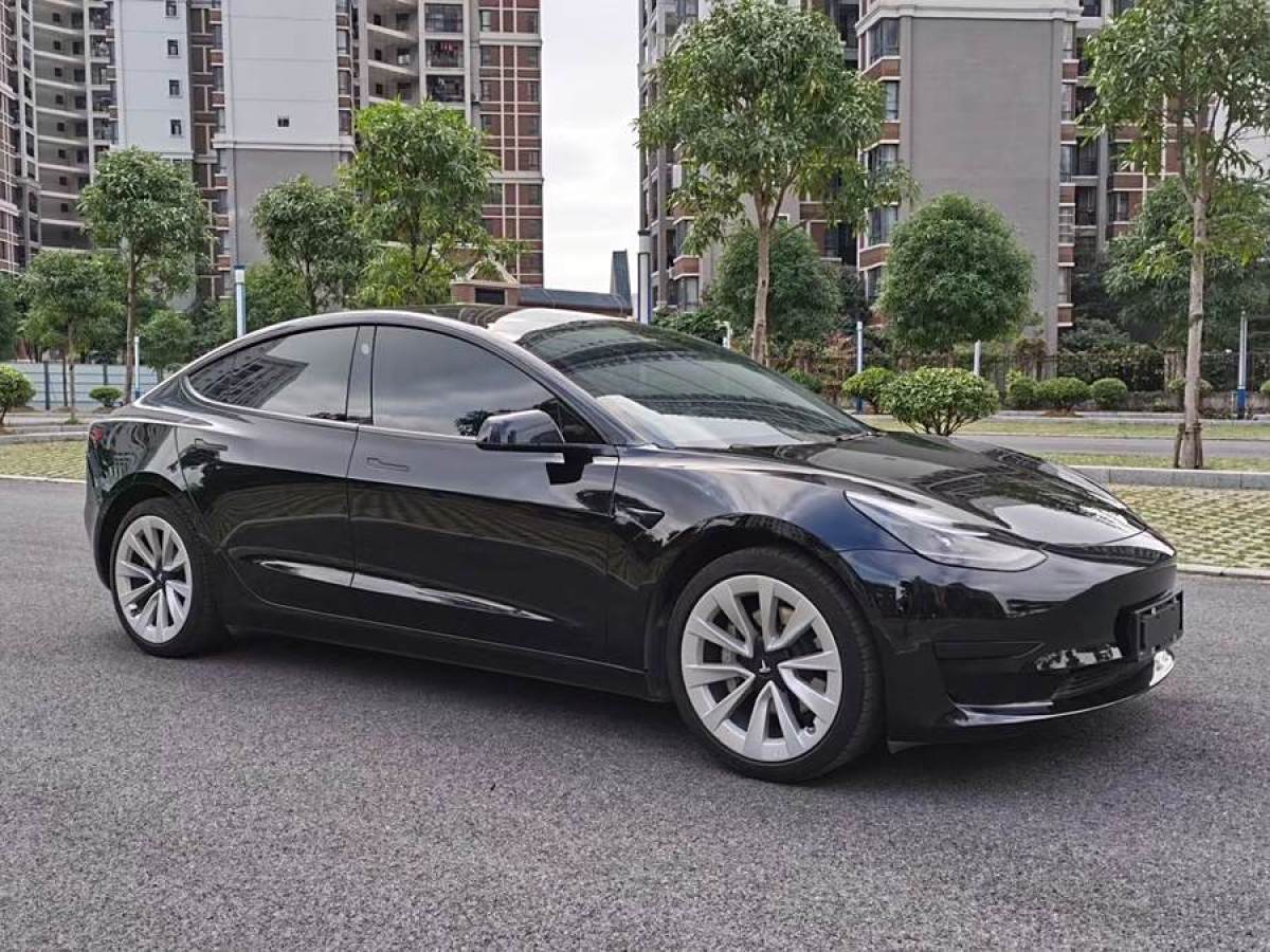 特斯拉 Model 3  2020款 改款 標(biāo)準(zhǔn)續(xù)航后驅(qū)升級(jí)版圖片