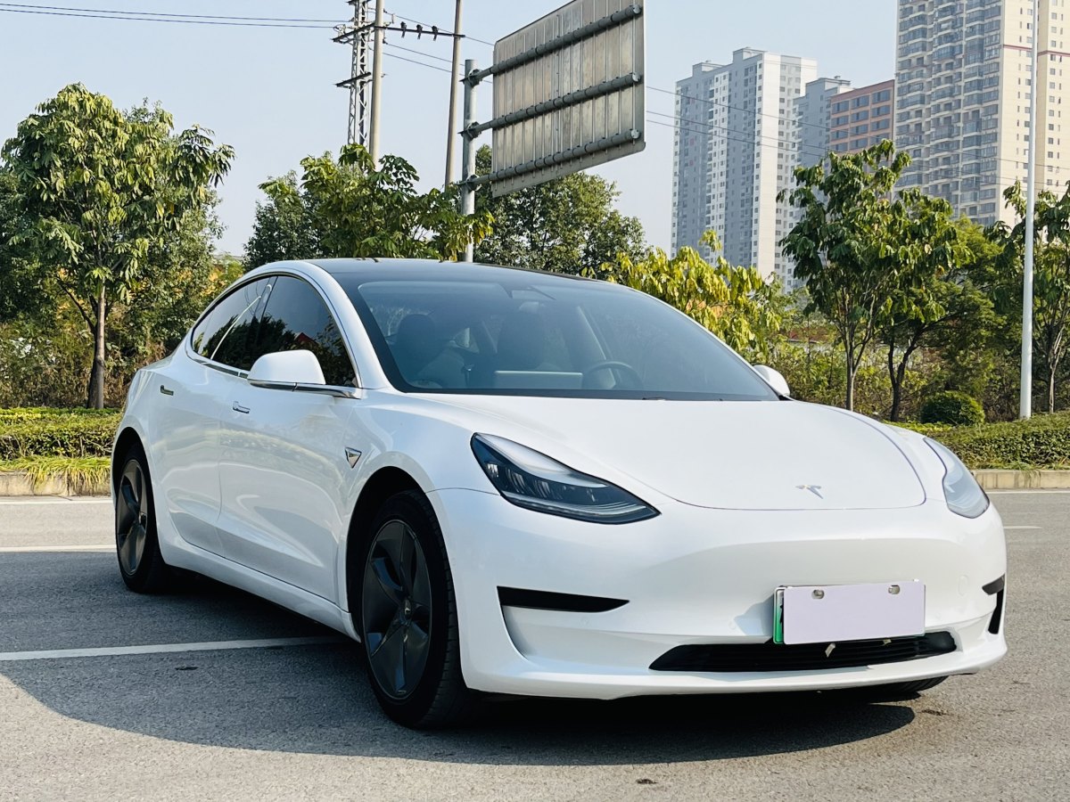 特斯拉 Model 3  2020款 改款 標(biāo)準(zhǔn)續(xù)航后驅(qū)升級(jí)版圖片