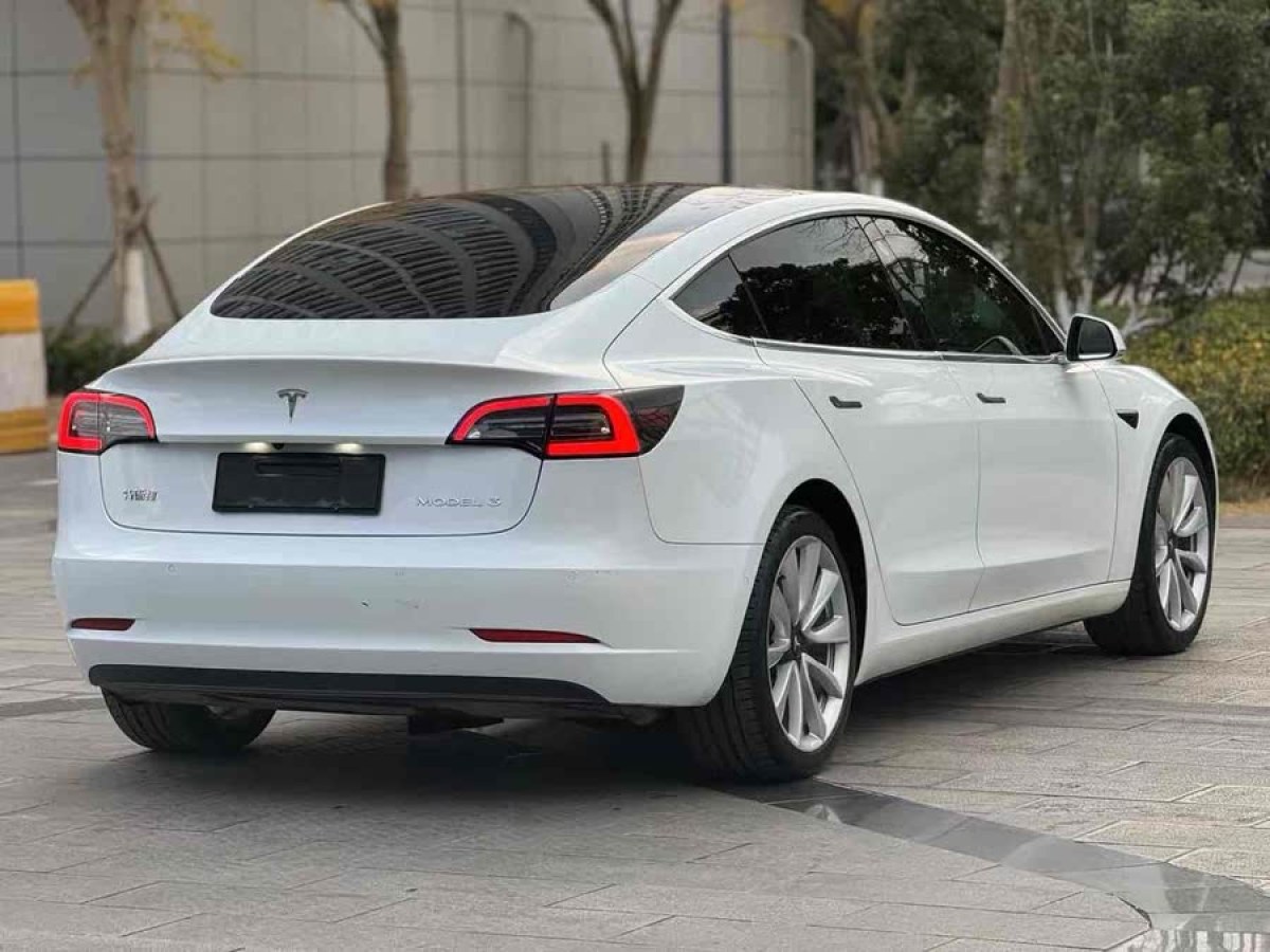 特斯拉 Model 3  2019款 標(biāo)準(zhǔn)續(xù)航后驅(qū)升級版圖片