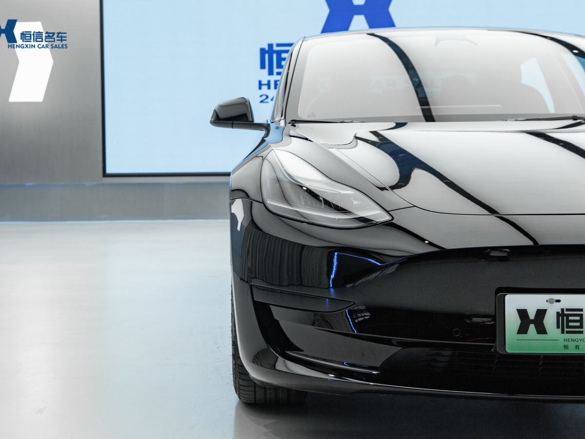 特斯拉 Model 3  2022款 改款 后輪驅(qū)動版圖片