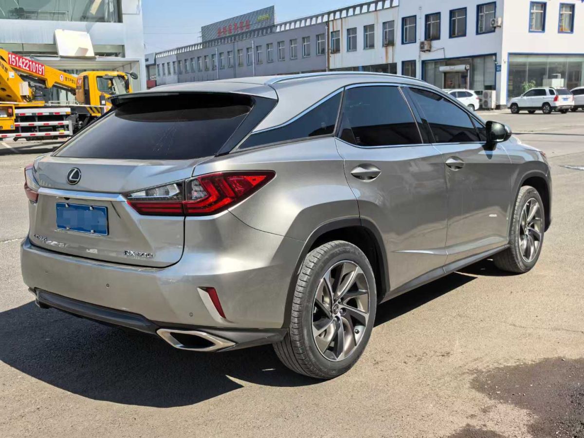 LITE LITE  2019款 R300 原力版圖片