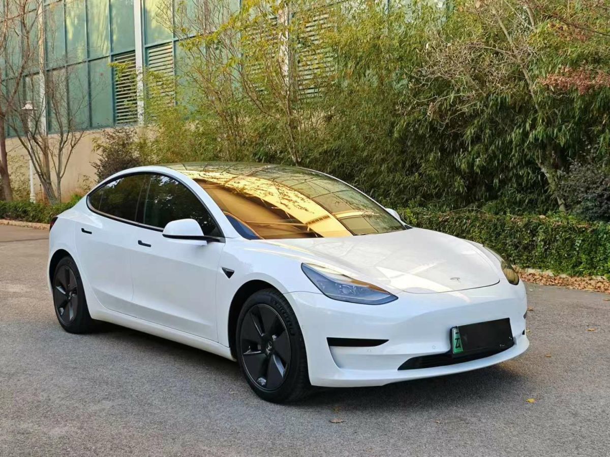 特斯拉 Model Y  2021款 標(biāo)準(zhǔn)續(xù)航后驅(qū)版圖片