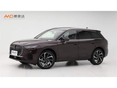 2023年5月 林肯 冒險家 2.0T 四驅(qū)尊耀版圖片