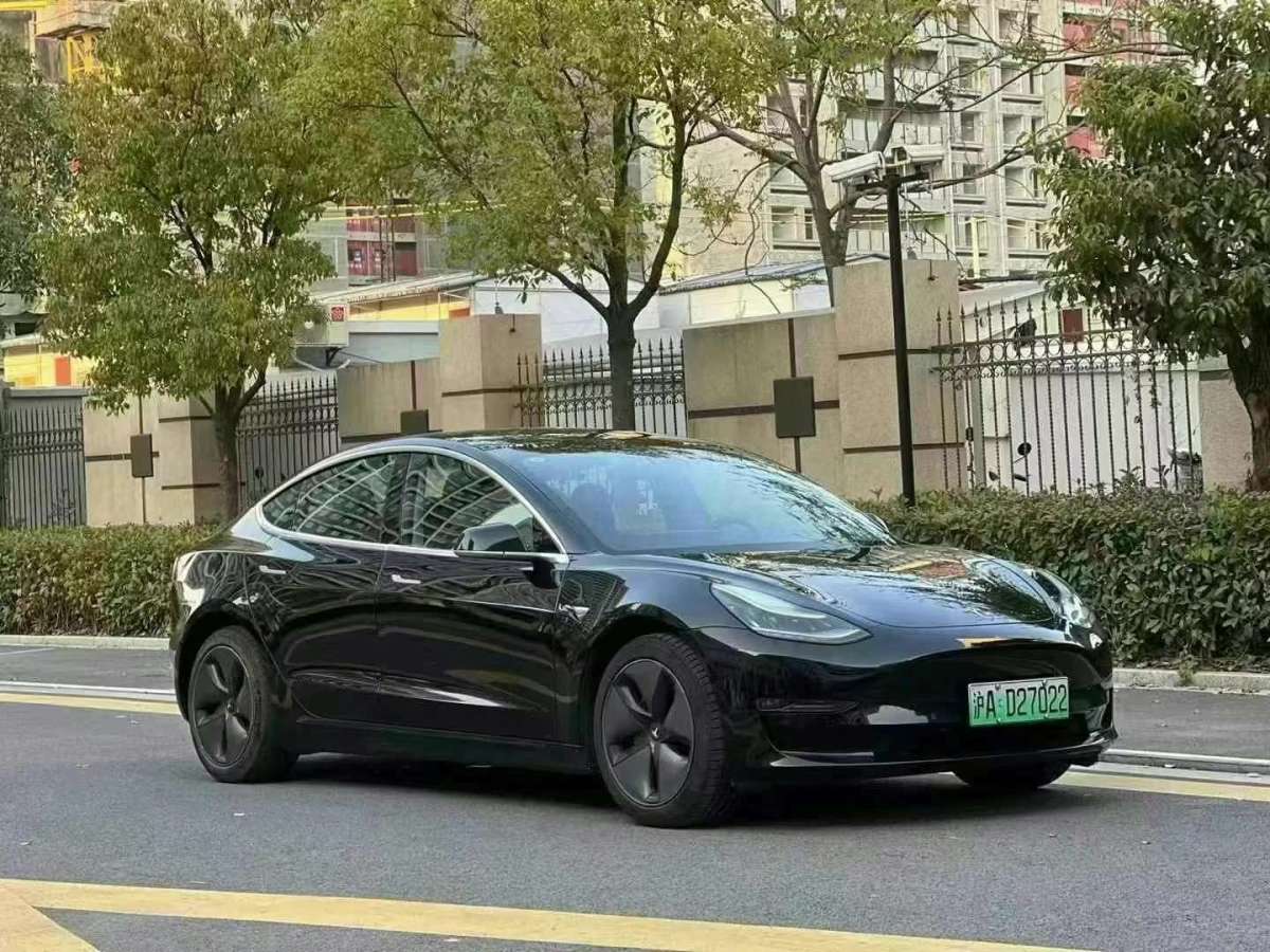 特斯拉 Model 3  2019款 標(biāo)準(zhǔn)續(xù)航后驅(qū)升級(jí)版圖片