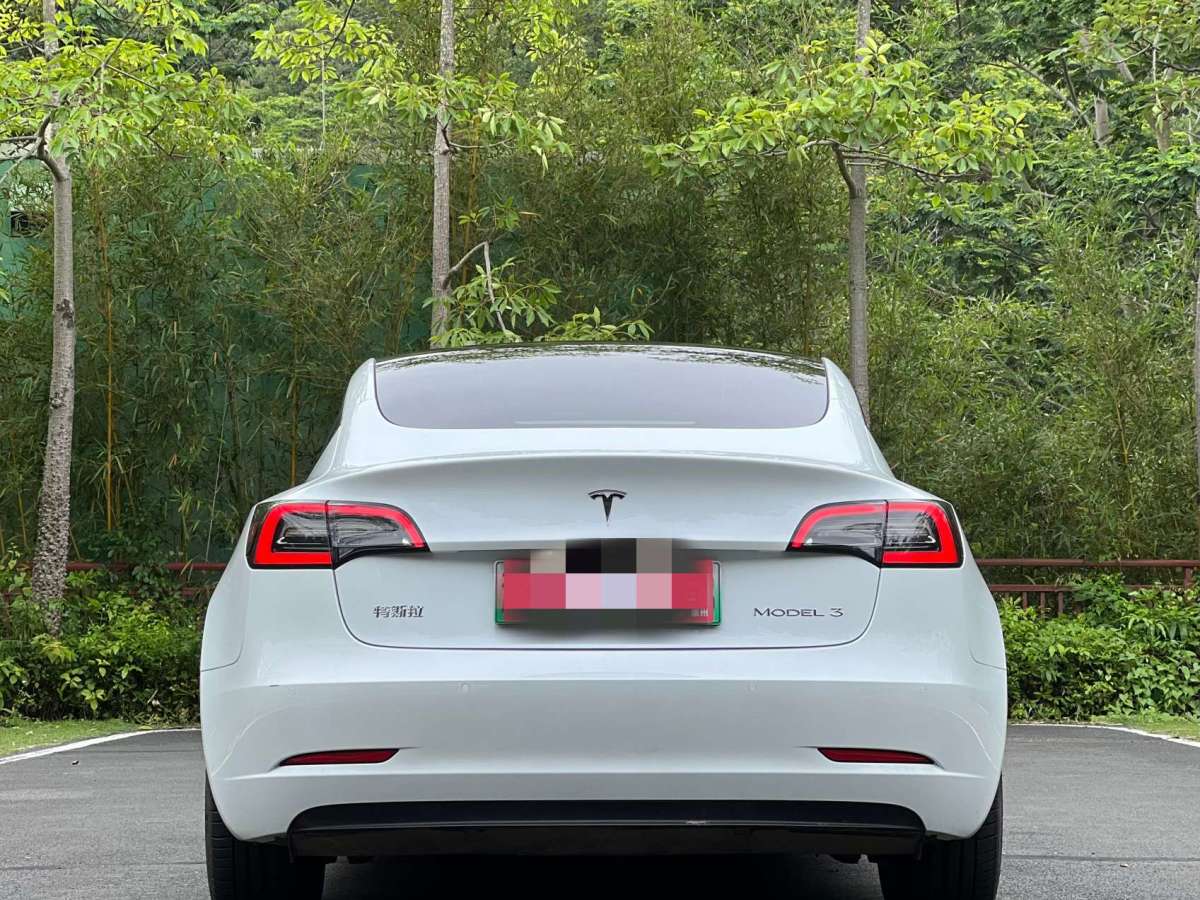 特斯拉 model 3 2021款 標準續航後驅版圖片