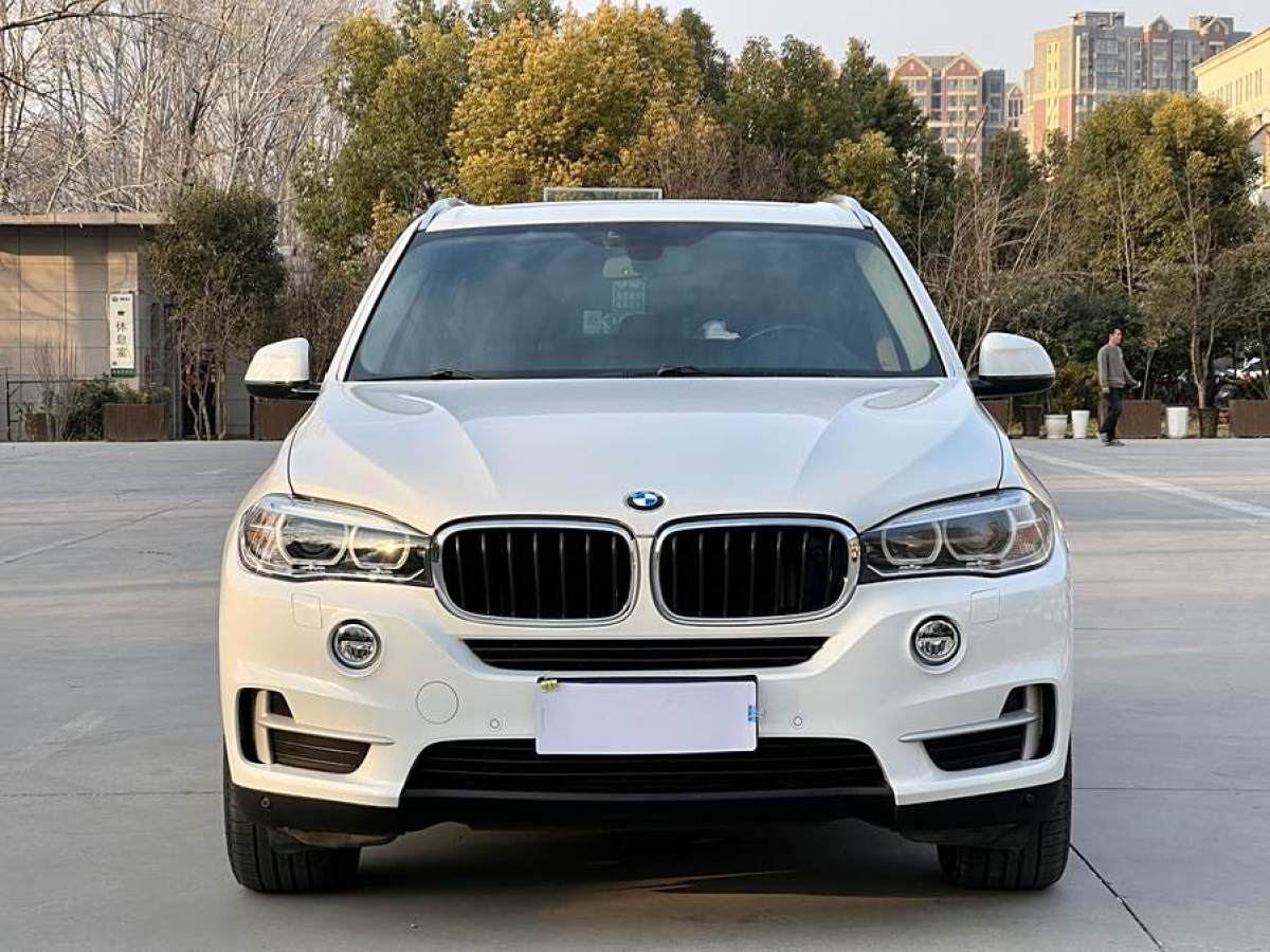 寶馬 寶馬X5  2014款 xDrive35i 領(lǐng)先型圖片