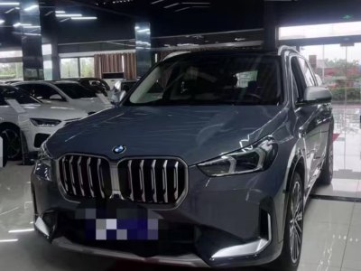 2023年6月 宝马 宝马X1 xDrive25Li X设计套装图片