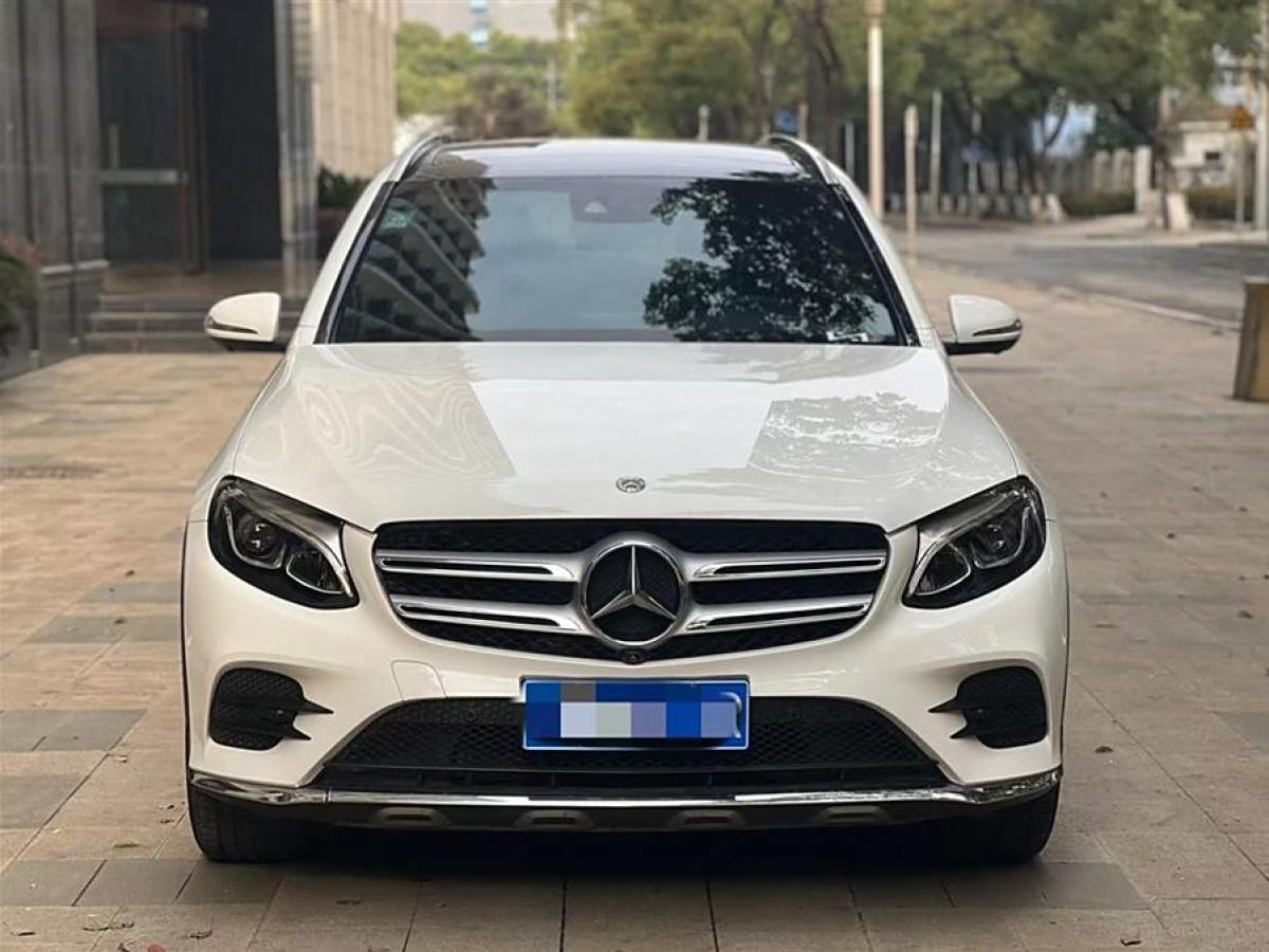 2017年4月奔馳 奔馳GLC  2017款 GLC 260 4MATIC 豪華型