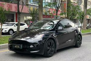 Model Y 特斯拉 后驅(qū)版