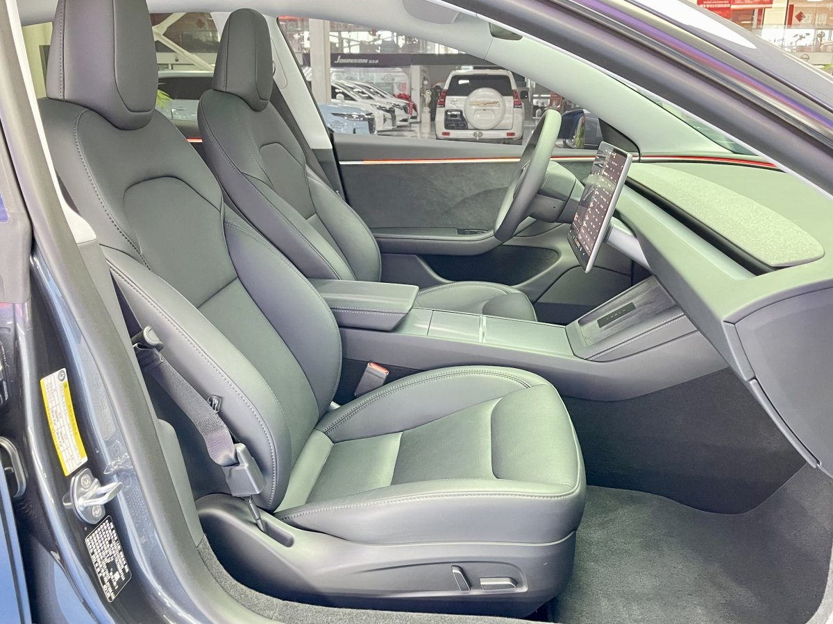 特斯拉 Model 3  2019款 長續(xù)航全輪驅(qū)動版圖片