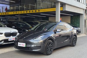 Model 3 特斯拉 改款 长续航后轮驱动版