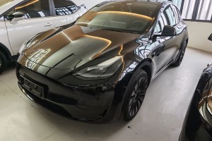 Model Y 特斯拉 改款 后輪驅(qū)動(dòng)版