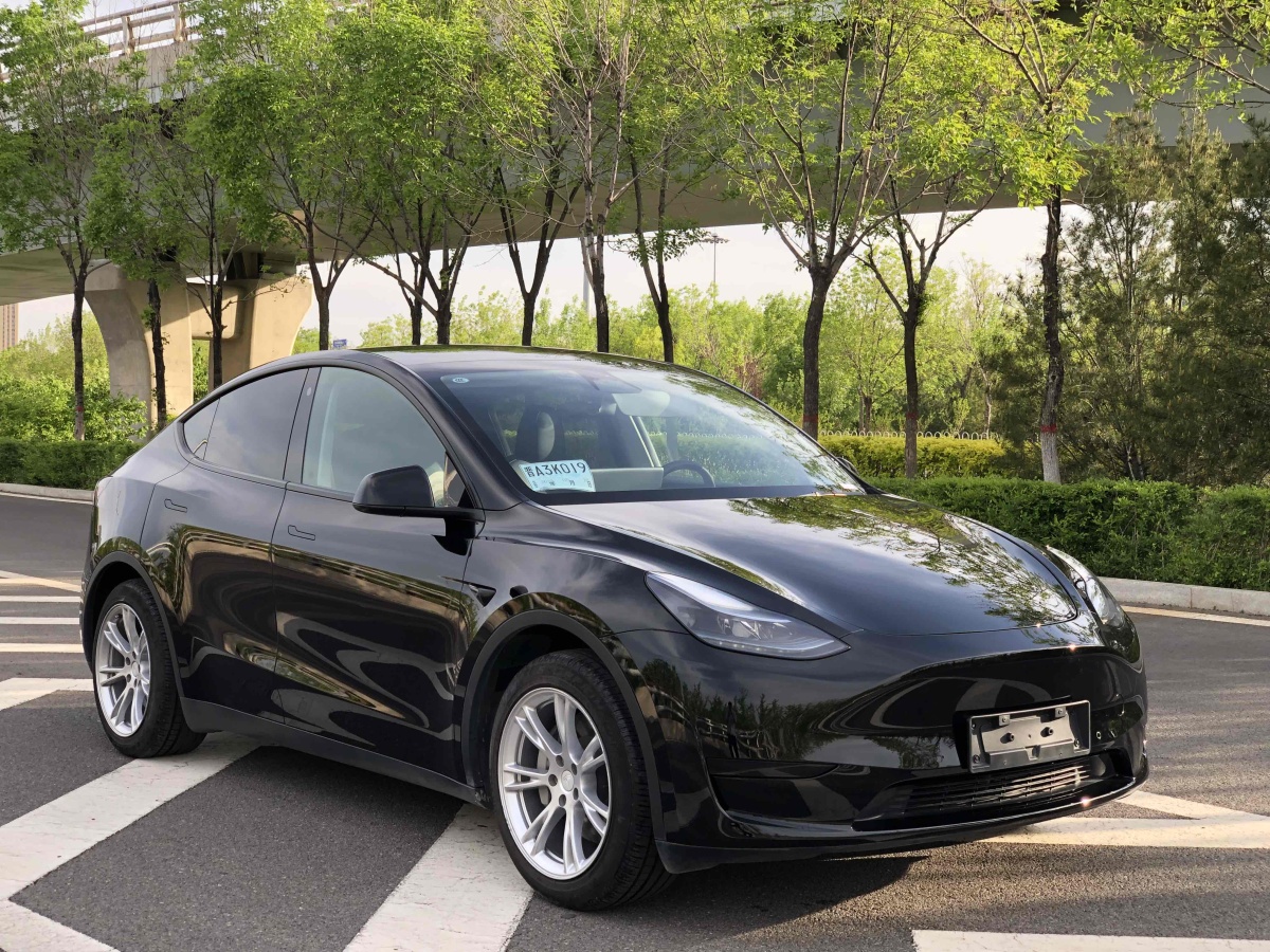 特斯拉 Model Y  2023款 后輪驅(qū)動版圖片