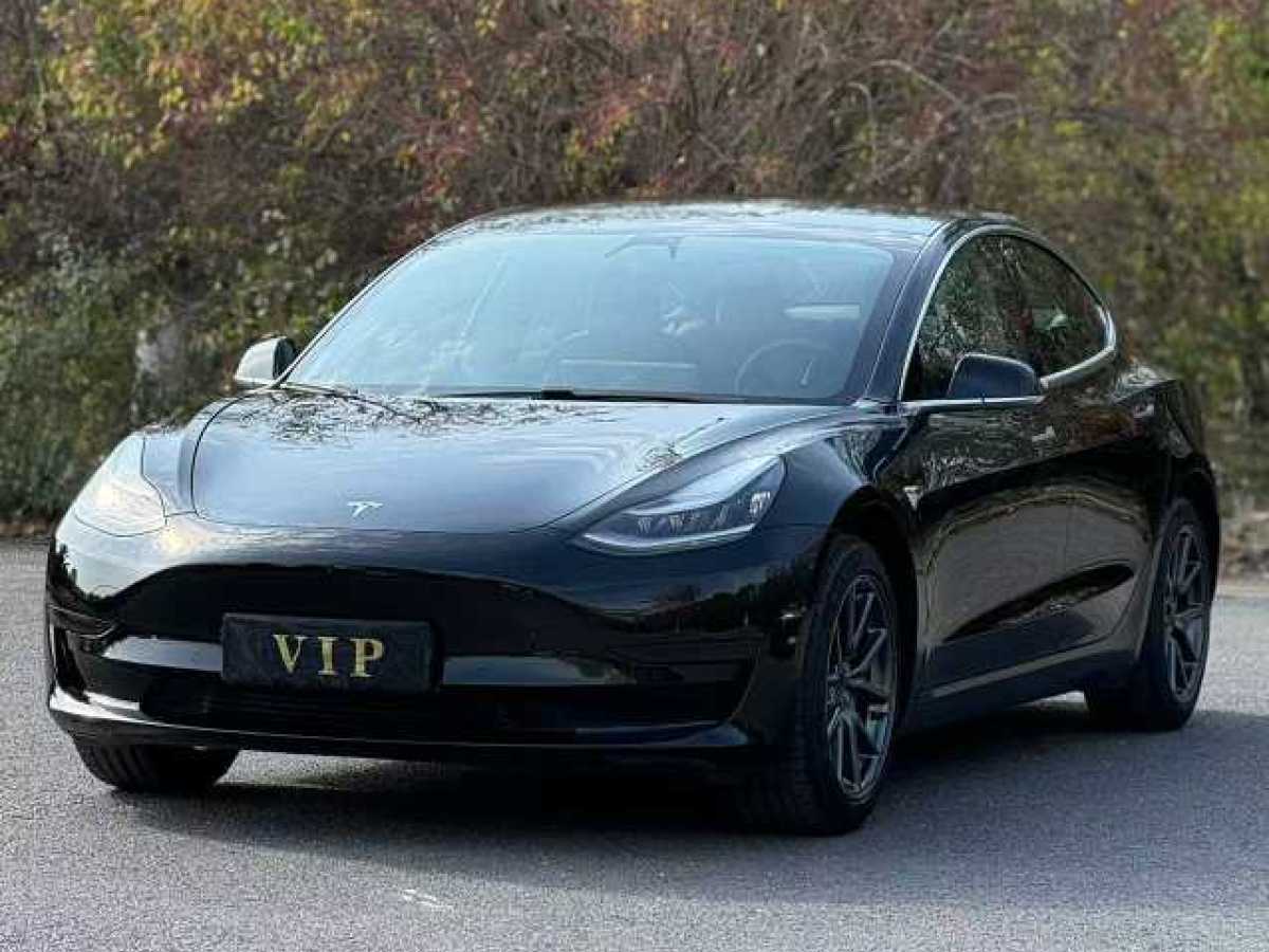 特斯拉 Model 3  2019款 標準續(xù)航后驅升級版圖片