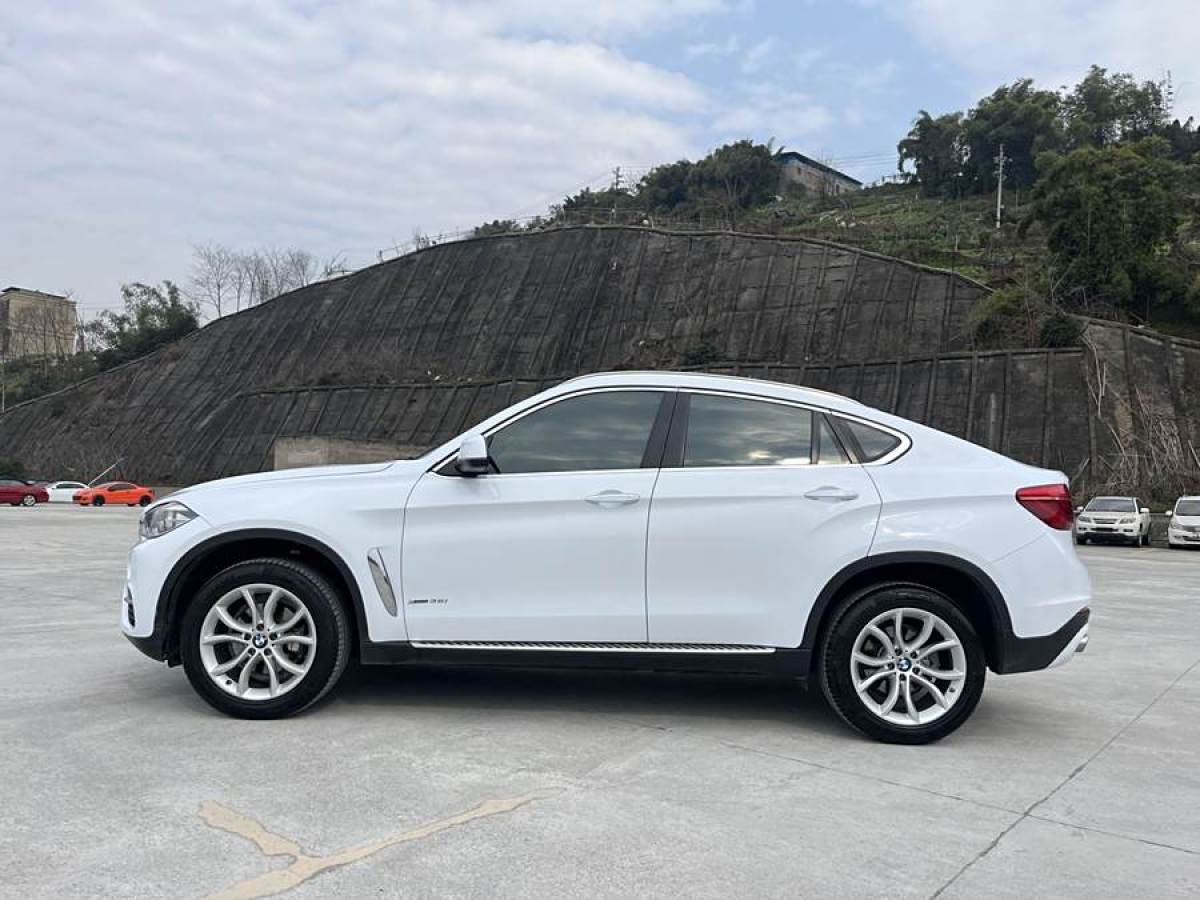 寶馬 寶馬X6  2017款 xDrive35i 領(lǐng)先型圖片