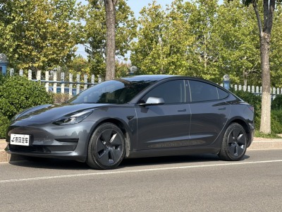 2022年4月 特斯拉 Model 3 后輪驅(qū)動(dòng)版圖片