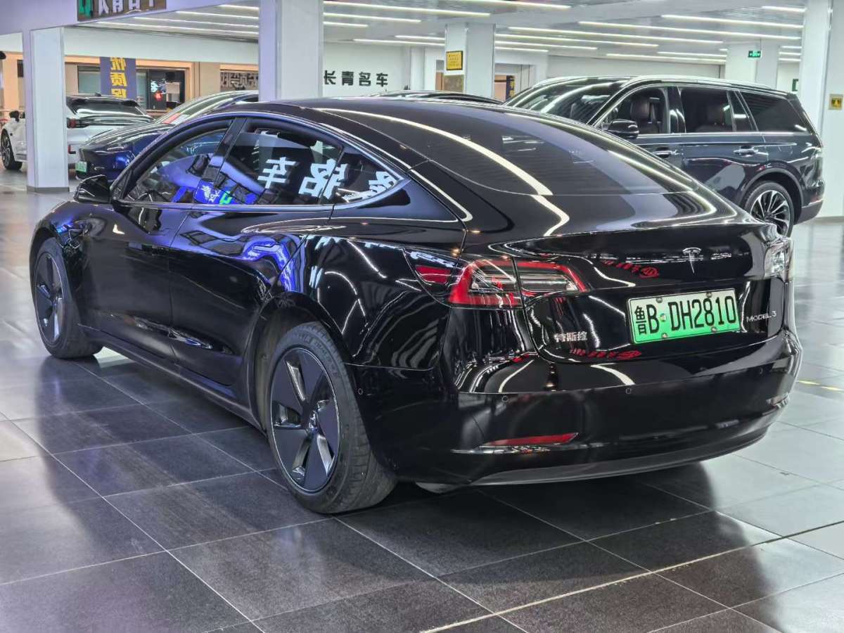 特斯拉 Model 3  2021款 標(biāo)準(zhǔn)續(xù)航后驅(qū)升級(jí)版圖片