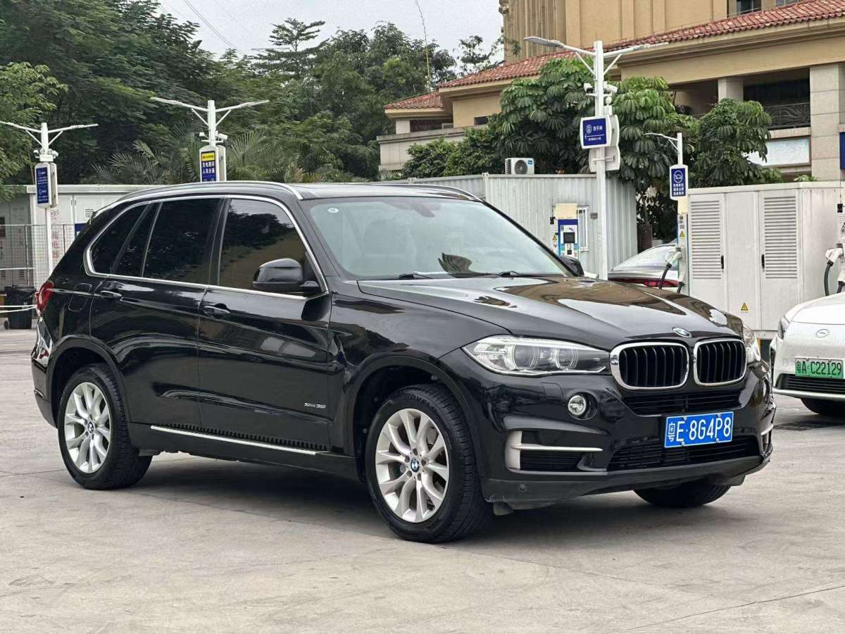 寶馬 寶馬X5  2014款 xDrive35i 領(lǐng)先型圖片