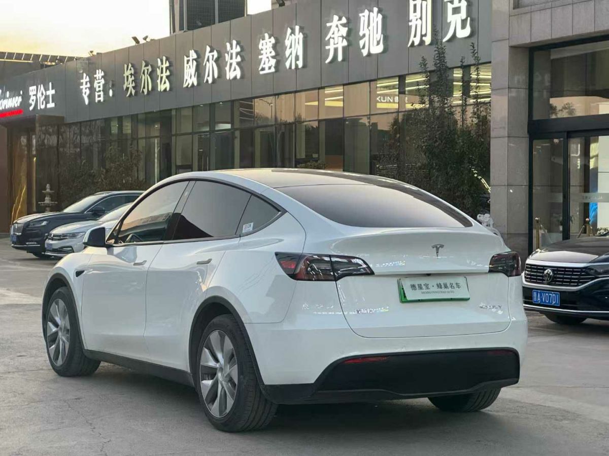 特斯拉 Model 3  2022款 Performance高性能全輪驅(qū)動版圖片