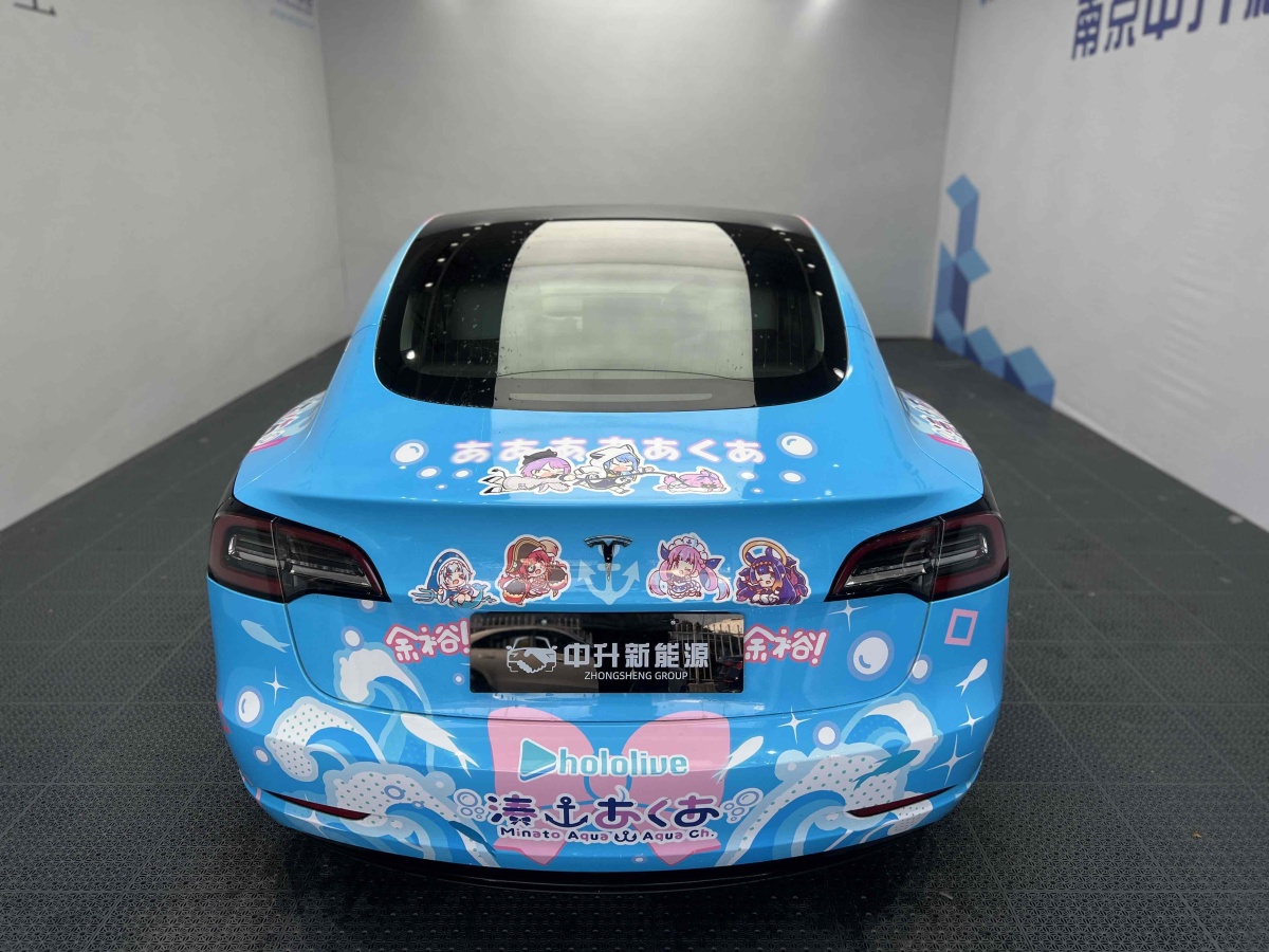 特斯拉 Model 3  2019款 標準續(xù)航后驅升級版圖片