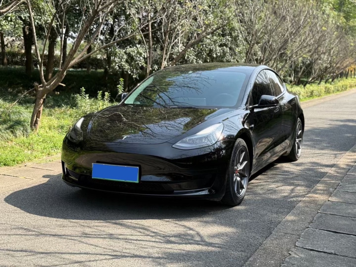 特斯拉 Model Y  2022款 后輪驅(qū)動版圖片