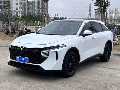 2022年11月 啟辰 啟辰大V 260T 黑馬版?愛(ài)豆圖片