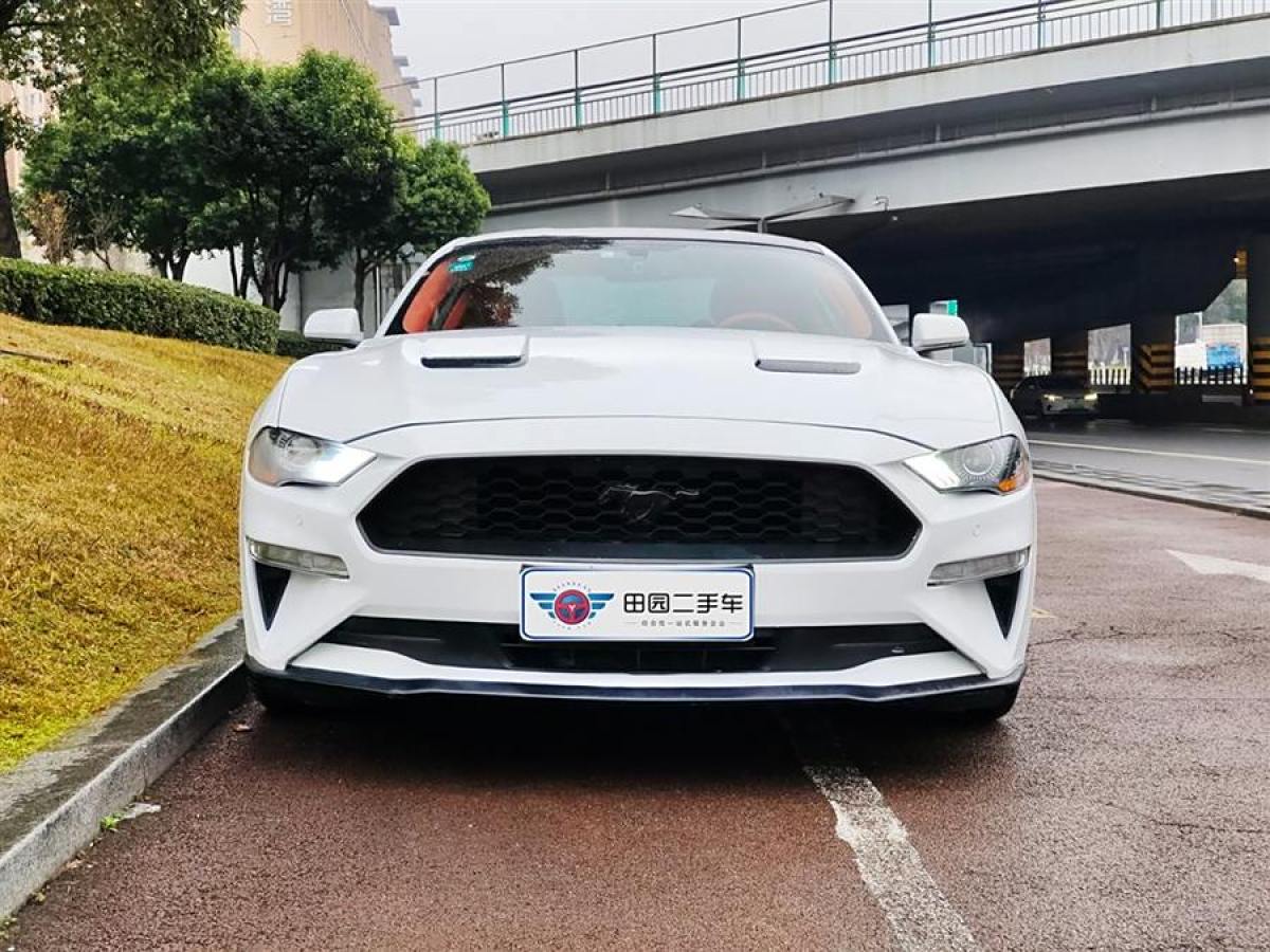 福特 Mustang  2019款 2.3L EcoBoost圖片