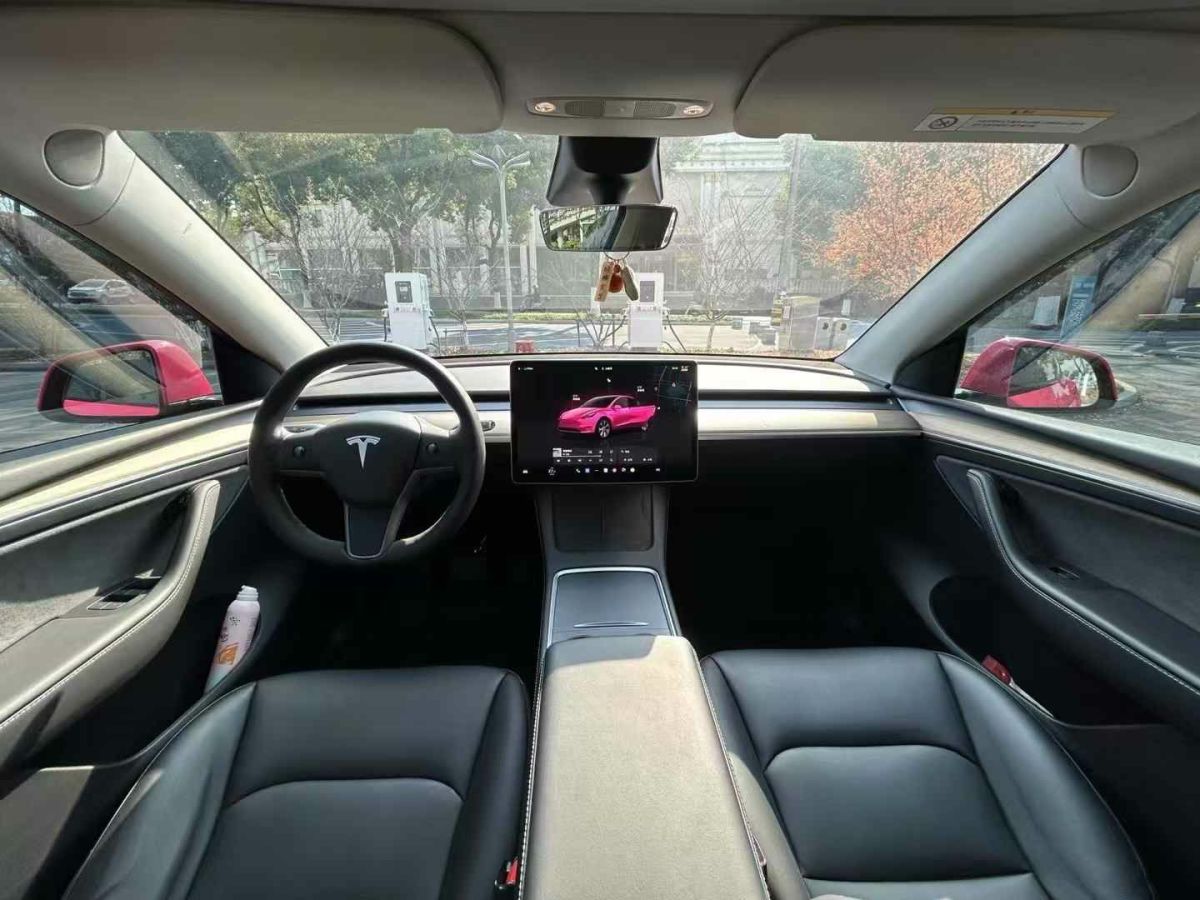 特斯拉 Model 3  2022款 Performance高性能全輪驅(qū)動(dòng)版圖片