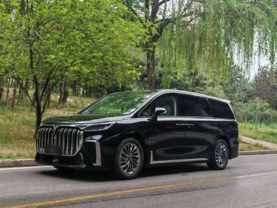 2024年5月 嵐圖 夢想家 PHEV 超長續(xù)航旗艦版圖片