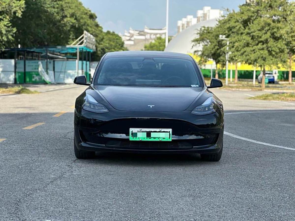 特斯拉 Model 3  2021款 改款 標(biāo)準(zhǔn)續(xù)航后驅(qū)升級(jí)版圖片