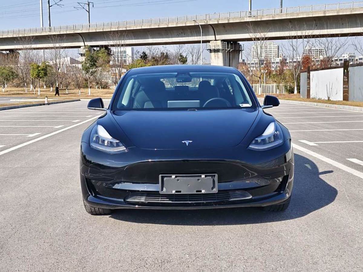 特斯拉 Model 3  2019款 標準續(xù)航后驅升級版圖片