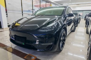 Model Y 特斯拉 標(biāo)準(zhǔn)續(xù)航后驅(qū)版
