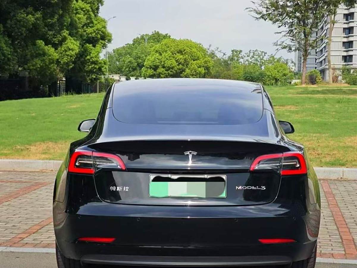 特斯拉 Model 3  2019款 標(biāo)準(zhǔn)續(xù)航后驅(qū)升級(jí)版圖片